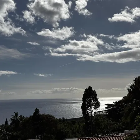 View *